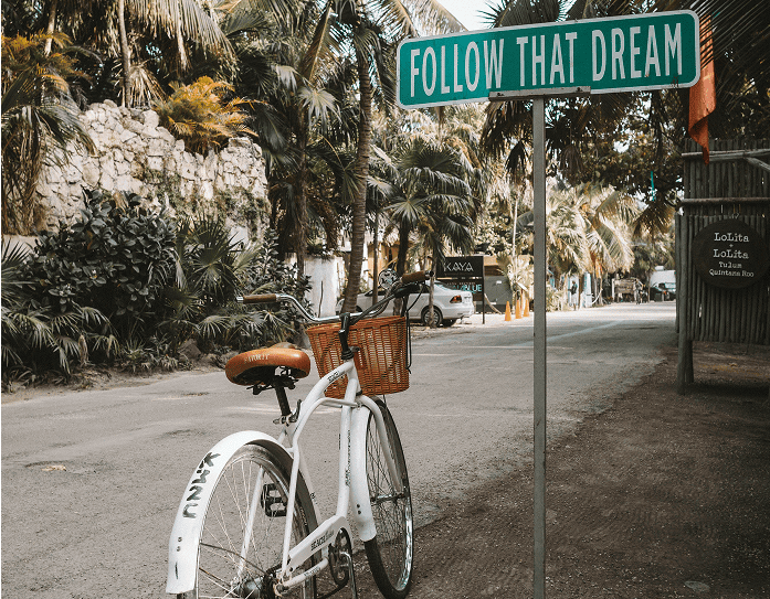 Vintage bicycle parked near tropical foliage with 
