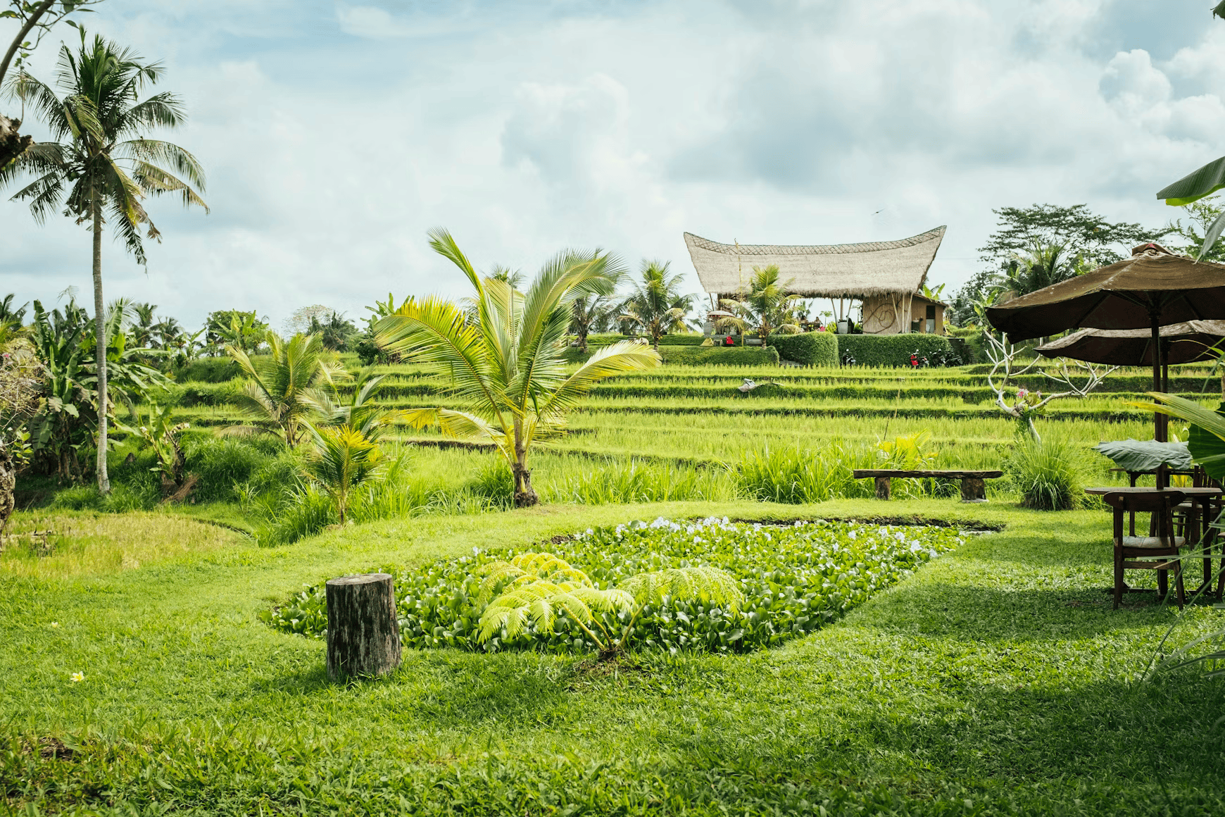 Bali Wellness Retreats: What to Expect and How to Choose the Right One