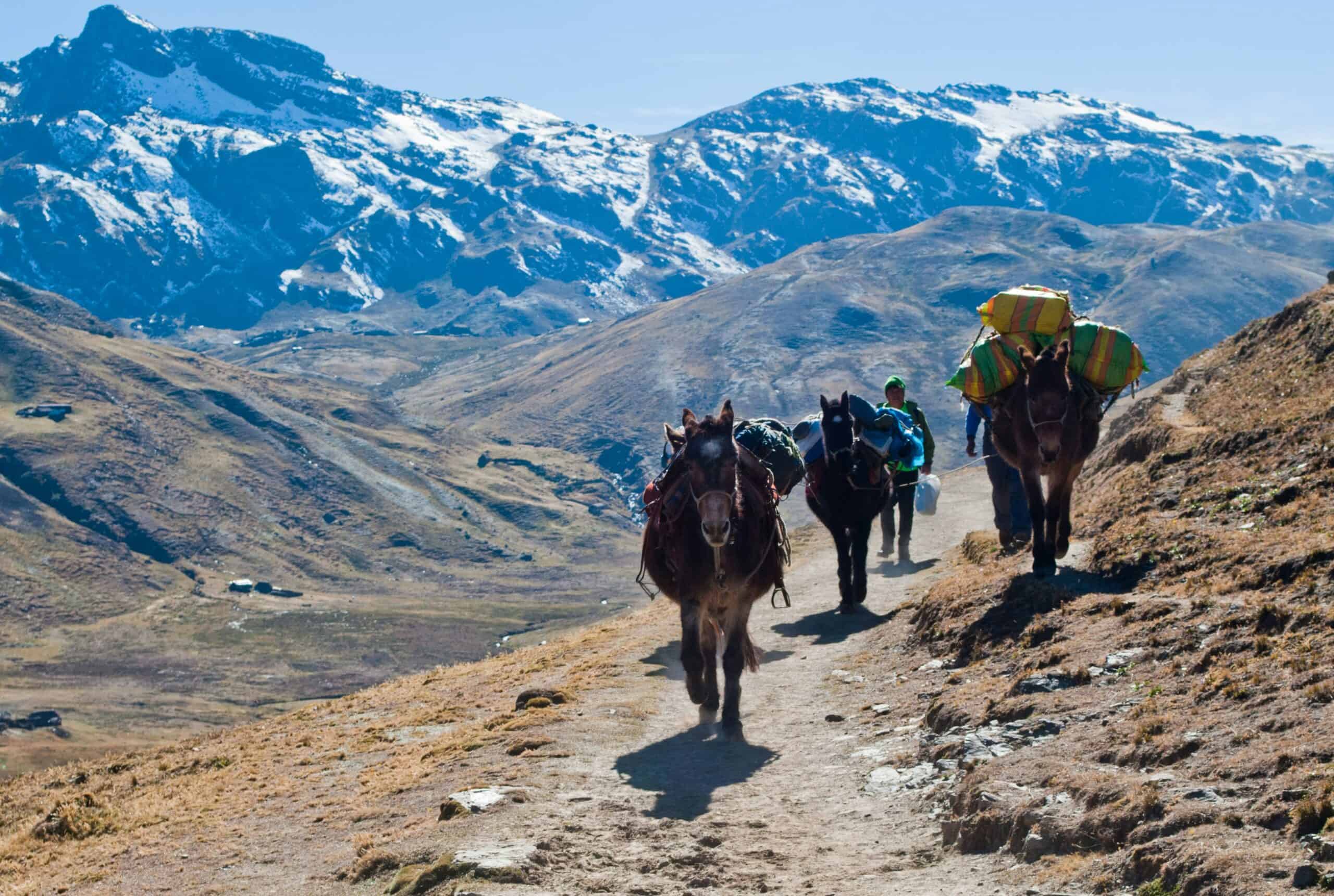 Reach New Heights With This Andes Quiz