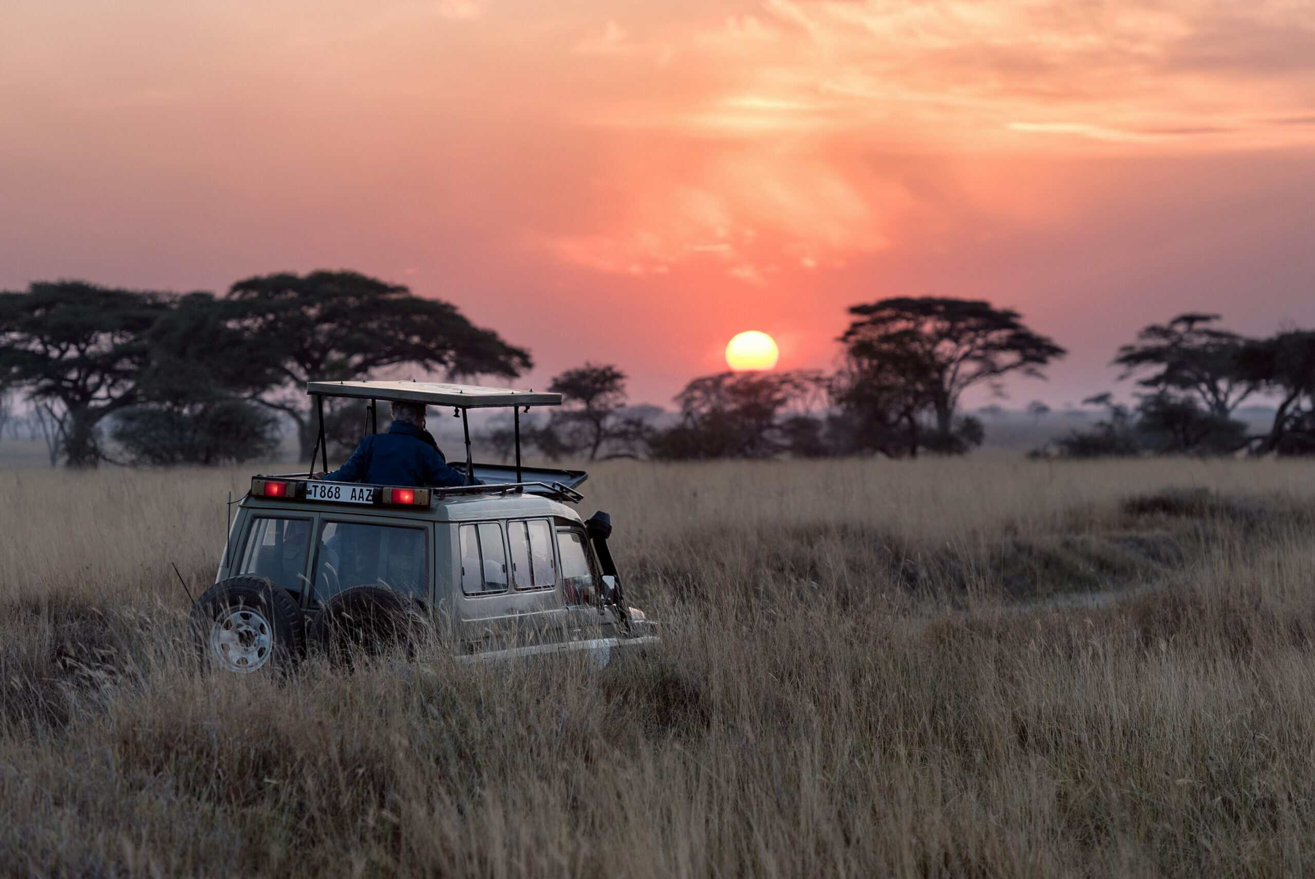 Safari Nation: The East Africa Quiz