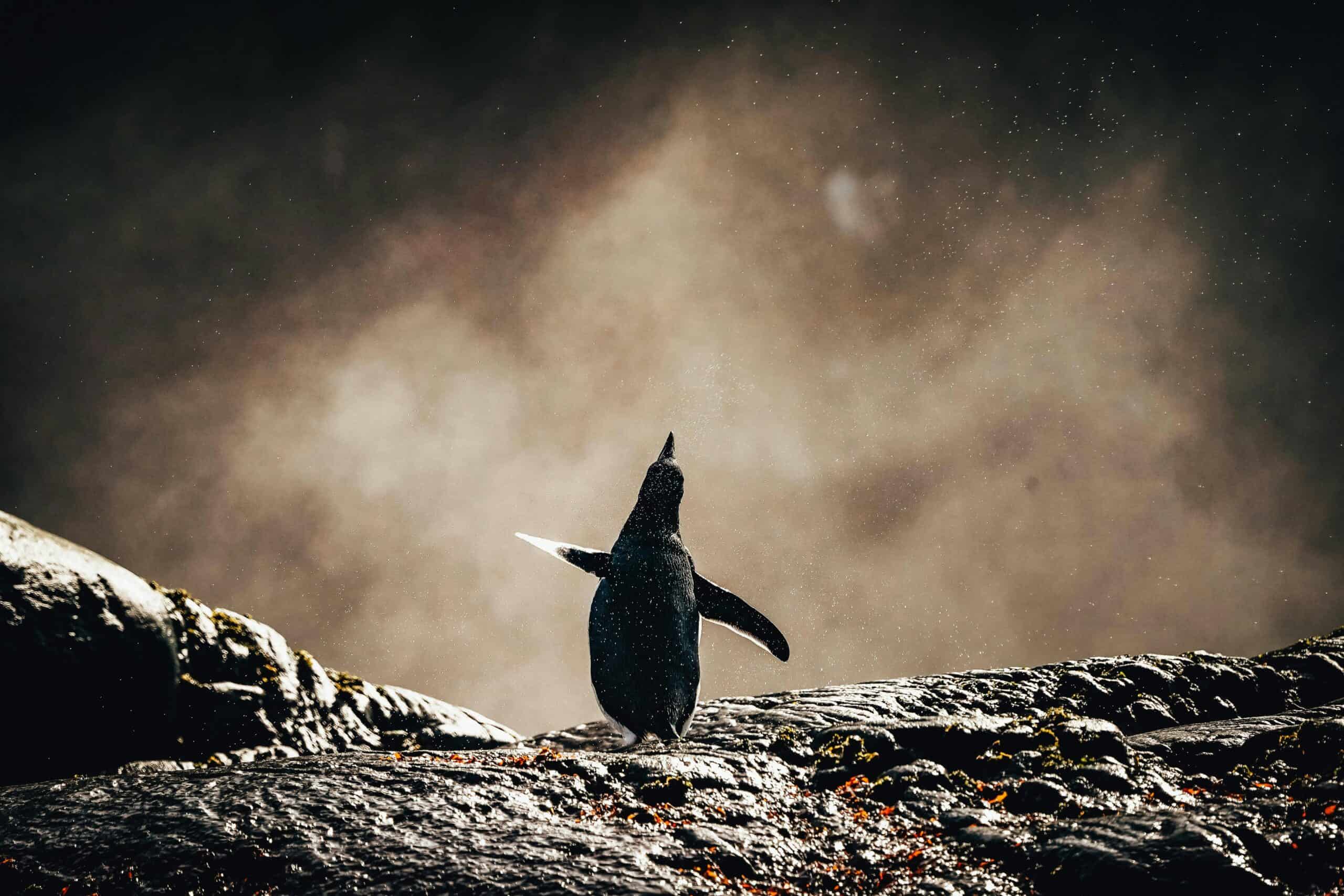 Deep Ice, Big Questions: Antarctic Science Quiz
