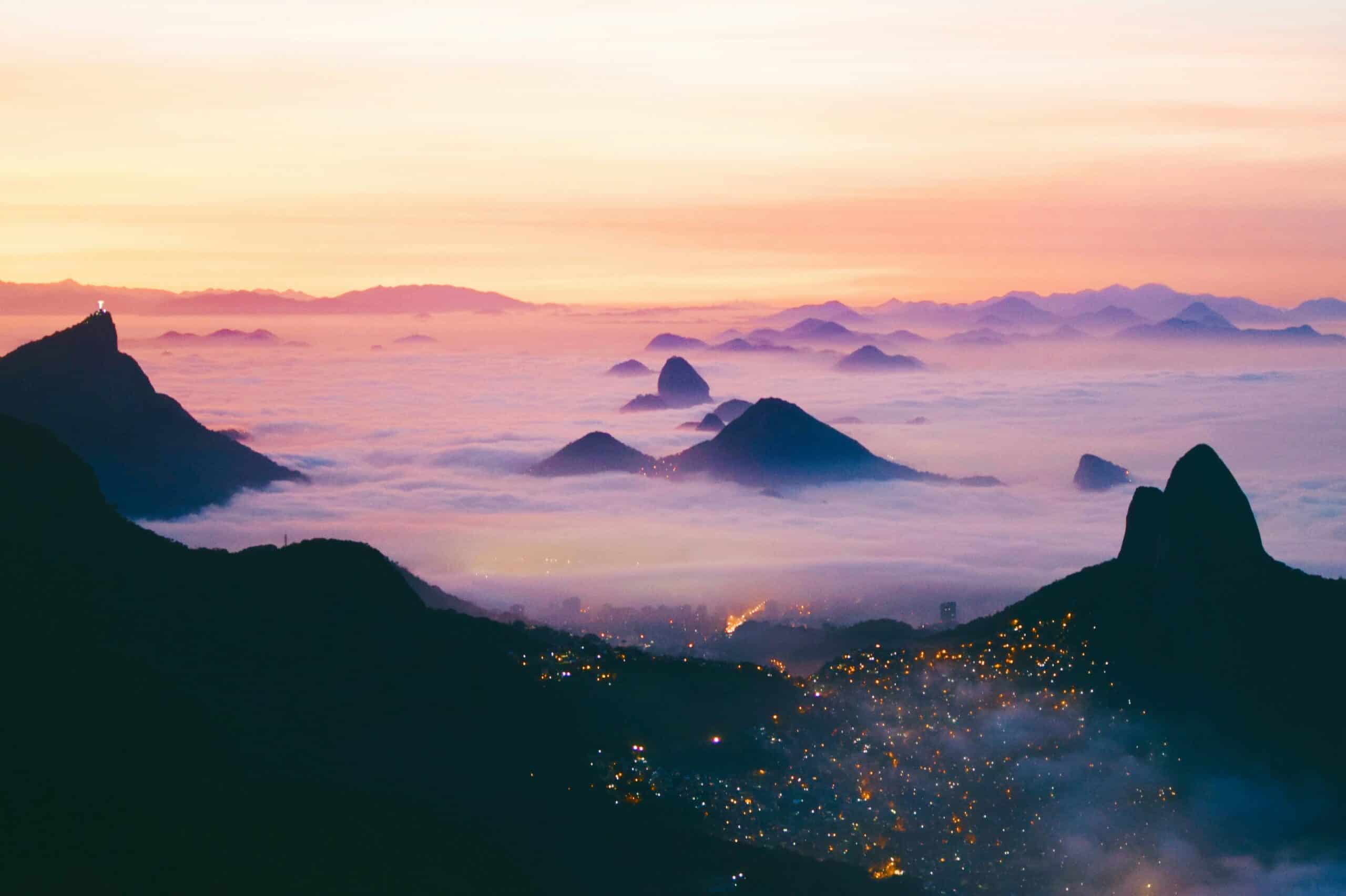 Wild at Heart: The South America Nature Quiz