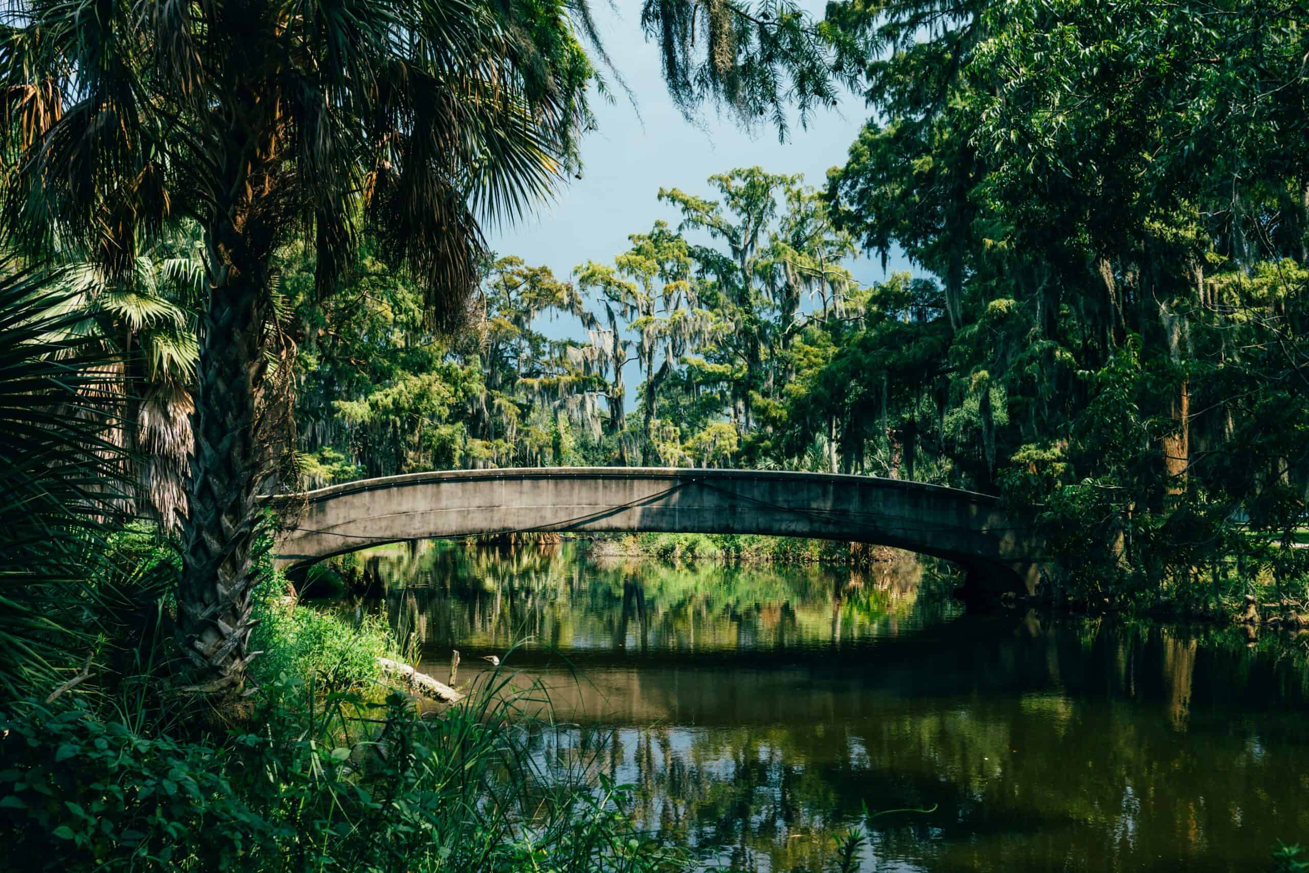 Bayous Beaches & Borders: The American South Quiz
