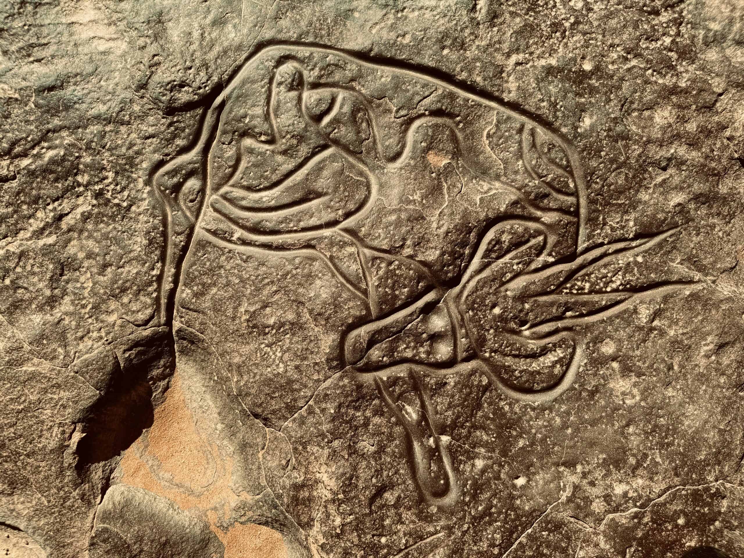 Deserts, Dynasties, and Dams: The North Africa Quiz