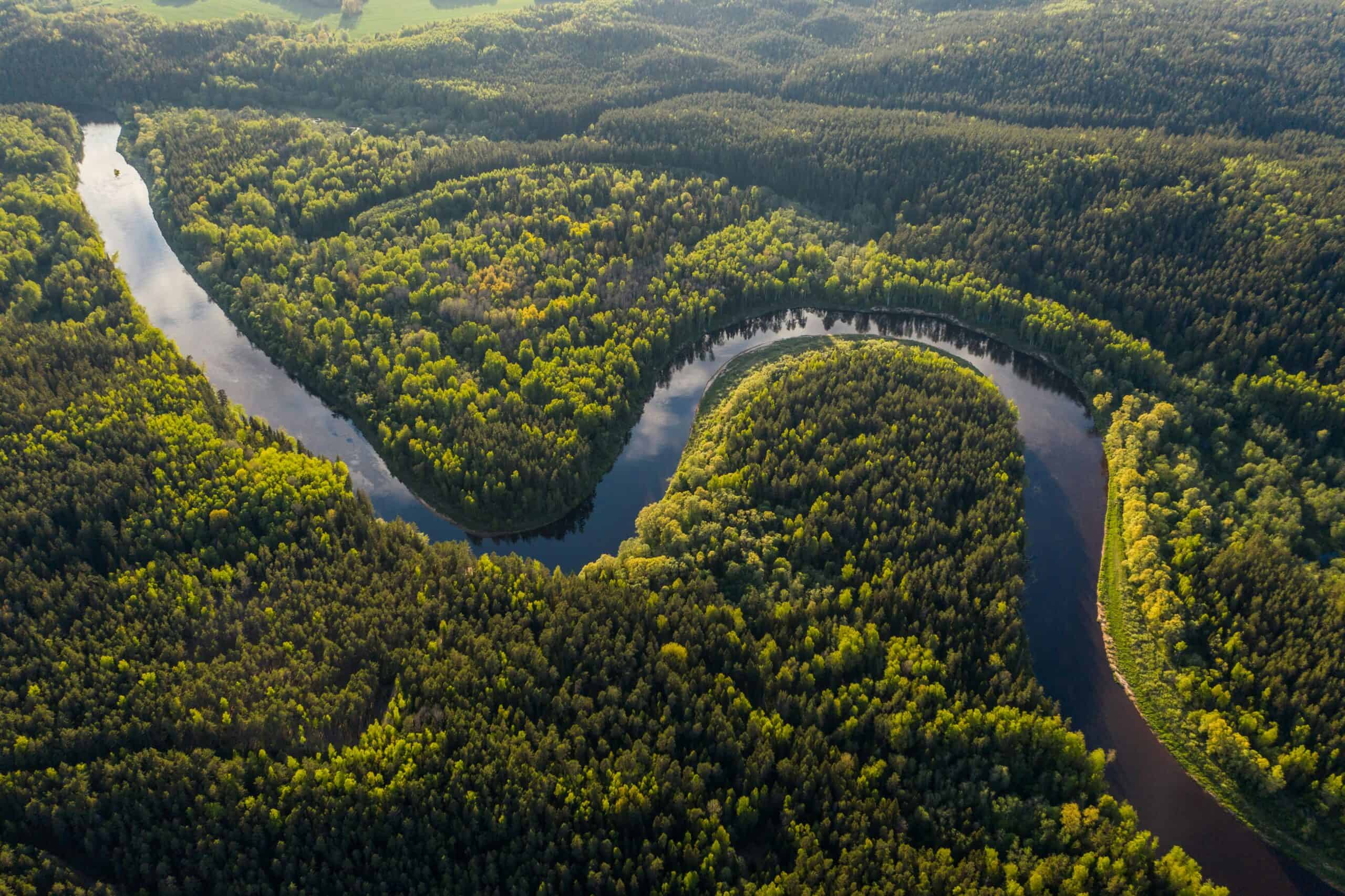 Dive Deep Into This Amazon Rainforest Quiz