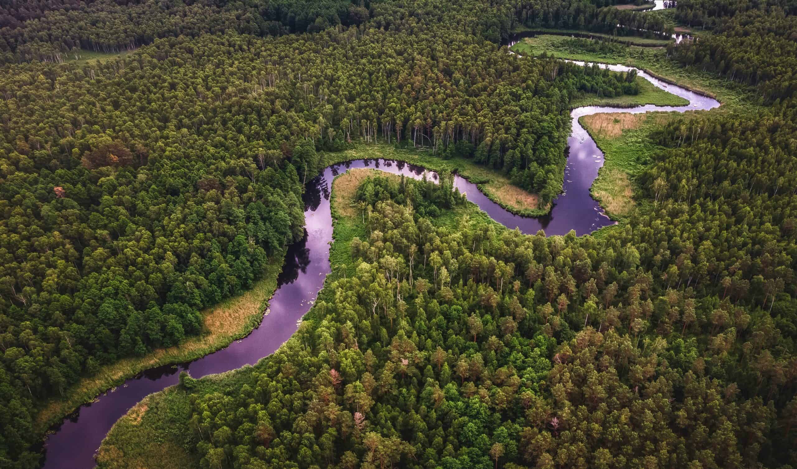 Which Continent Does This Belong To?