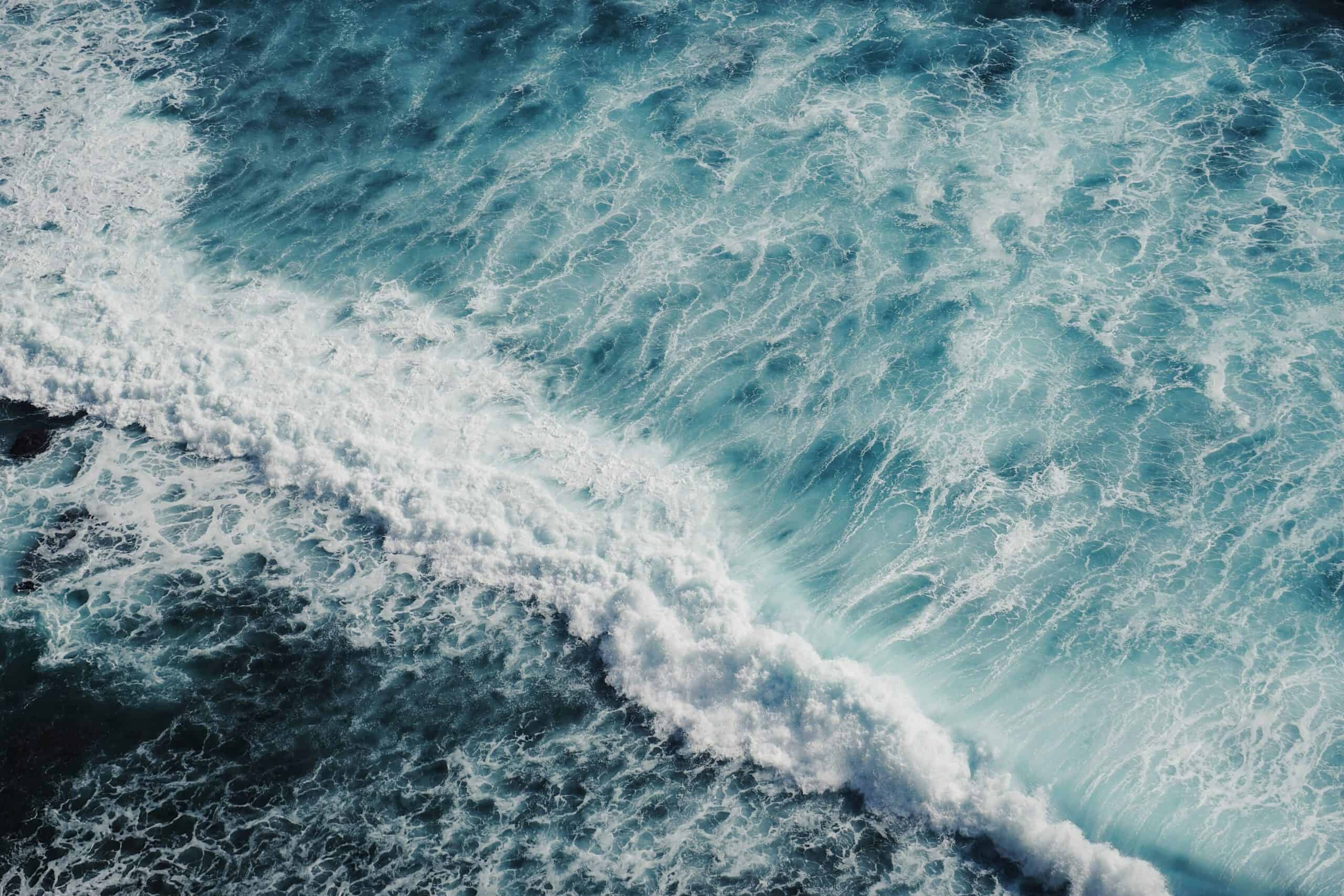 Dive In: The World’s Oceans and Seas Quiz