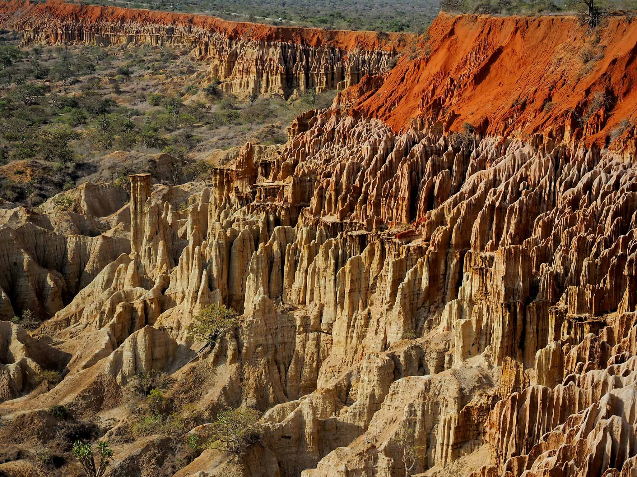 Below the Equator: The Southern Africa Quiz