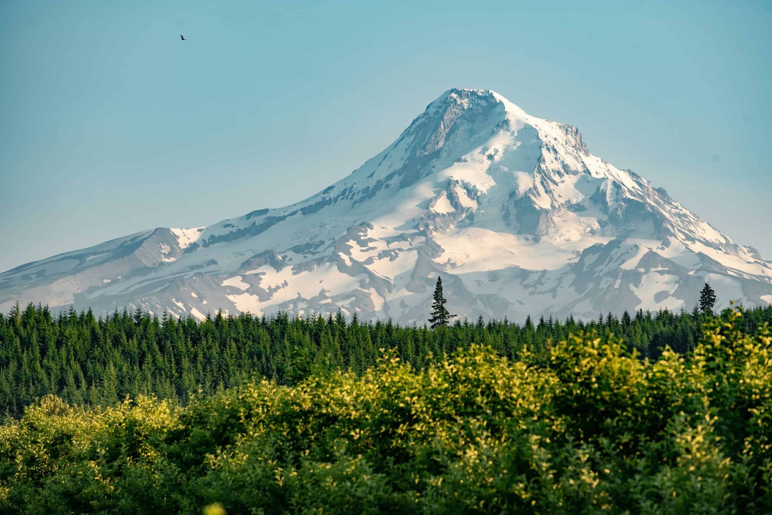 Scale New Heights: North America’s Mountains and Volcanoes Quiz