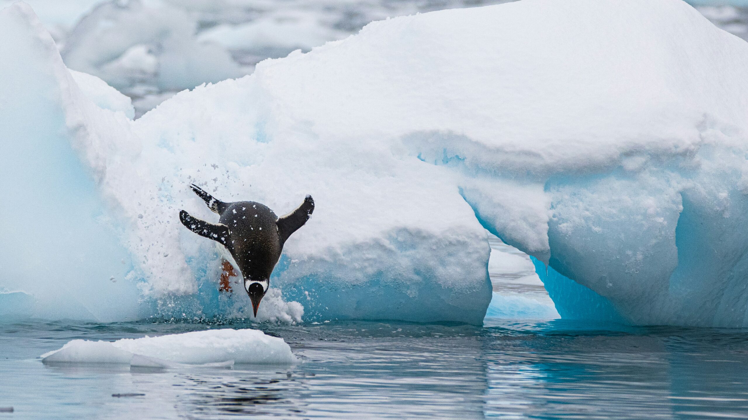 The White Continent: Antarctica