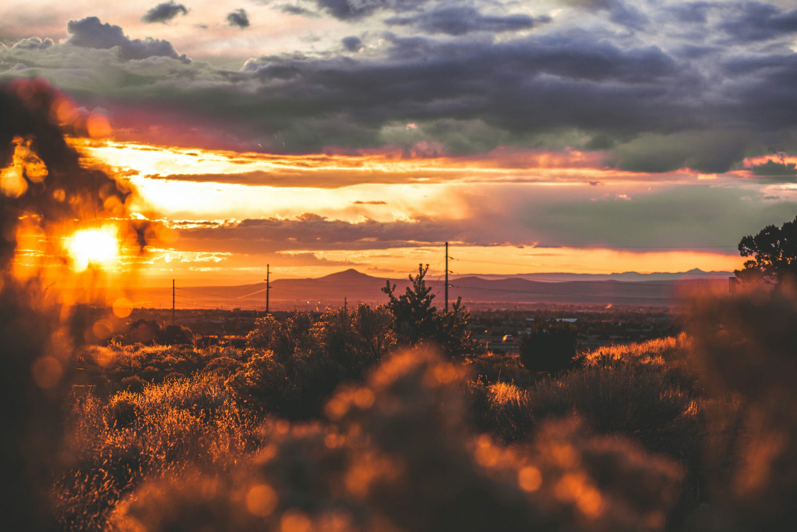 Land of Enchantment: The New Mexico Quiz