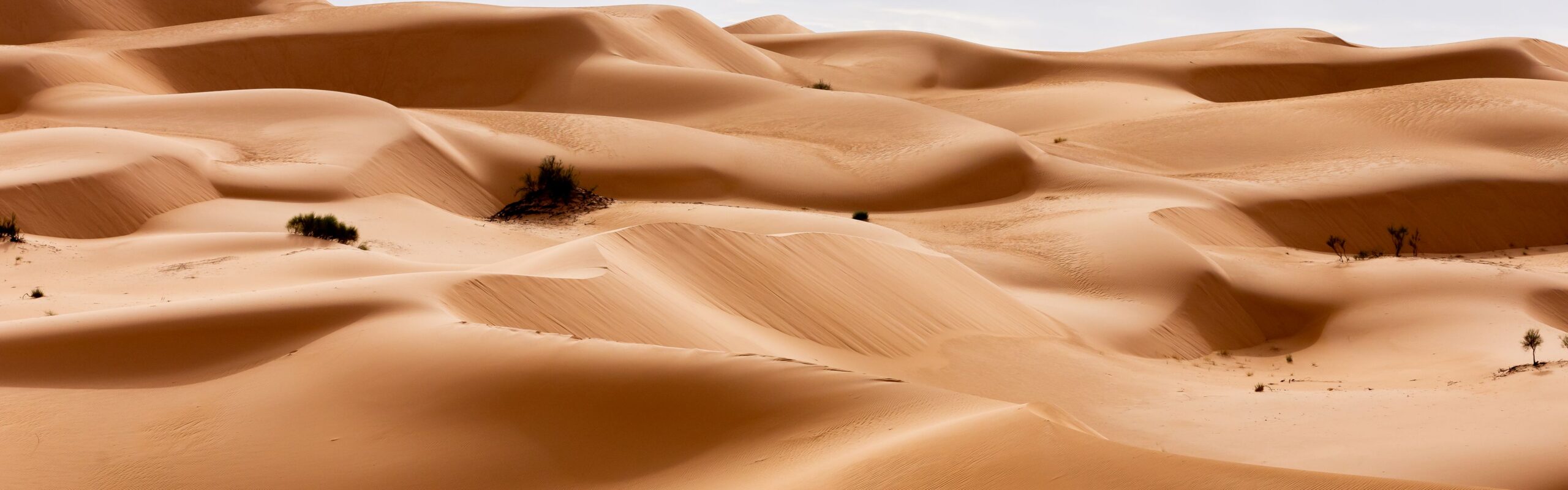 Where Earth Shows Off: Natural Wonders of the World