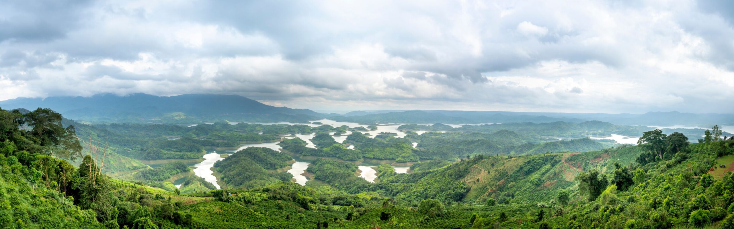 Peru: Jungles, Deserts, and Cloud Forests