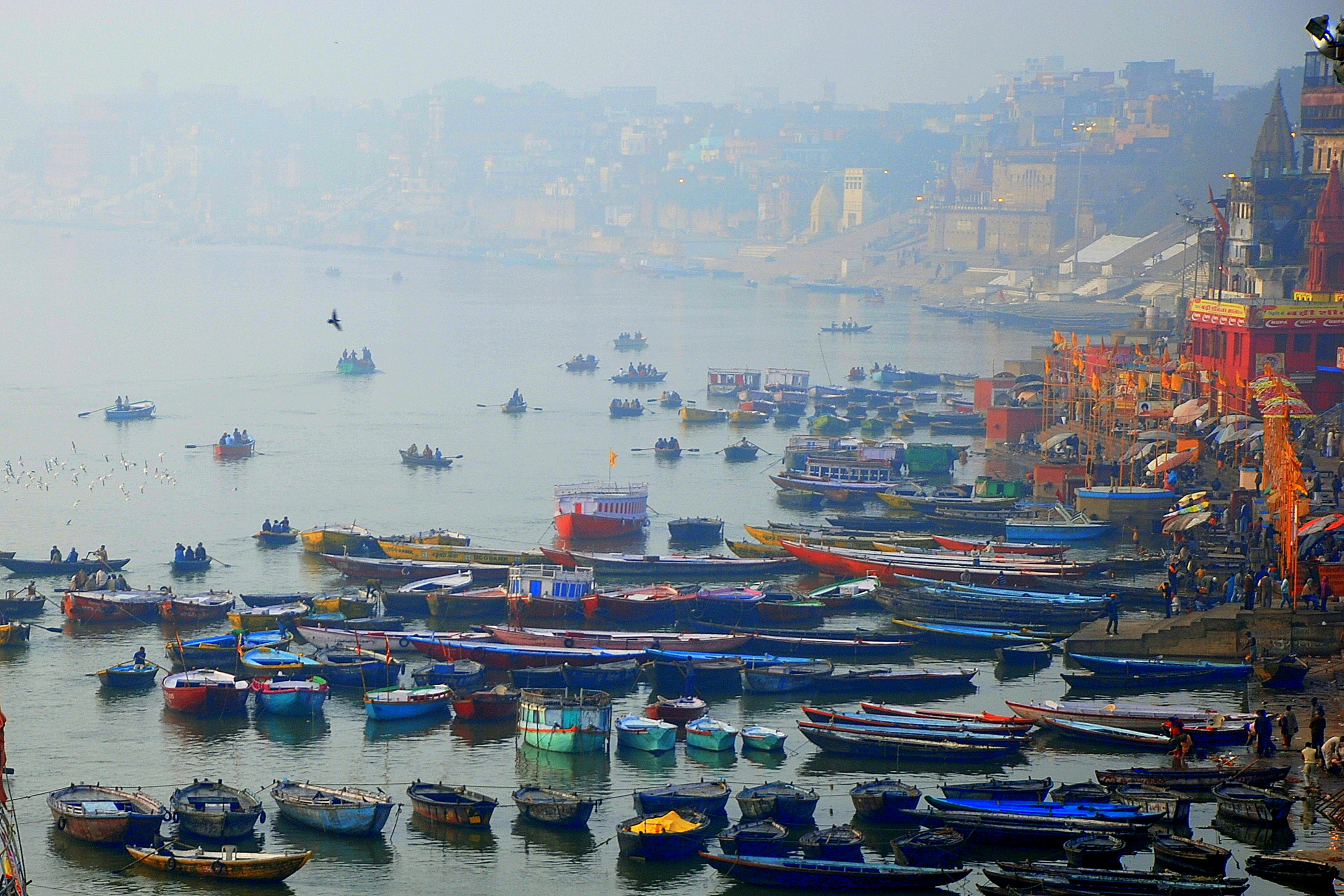 India: Temples, Tigers, and Trains