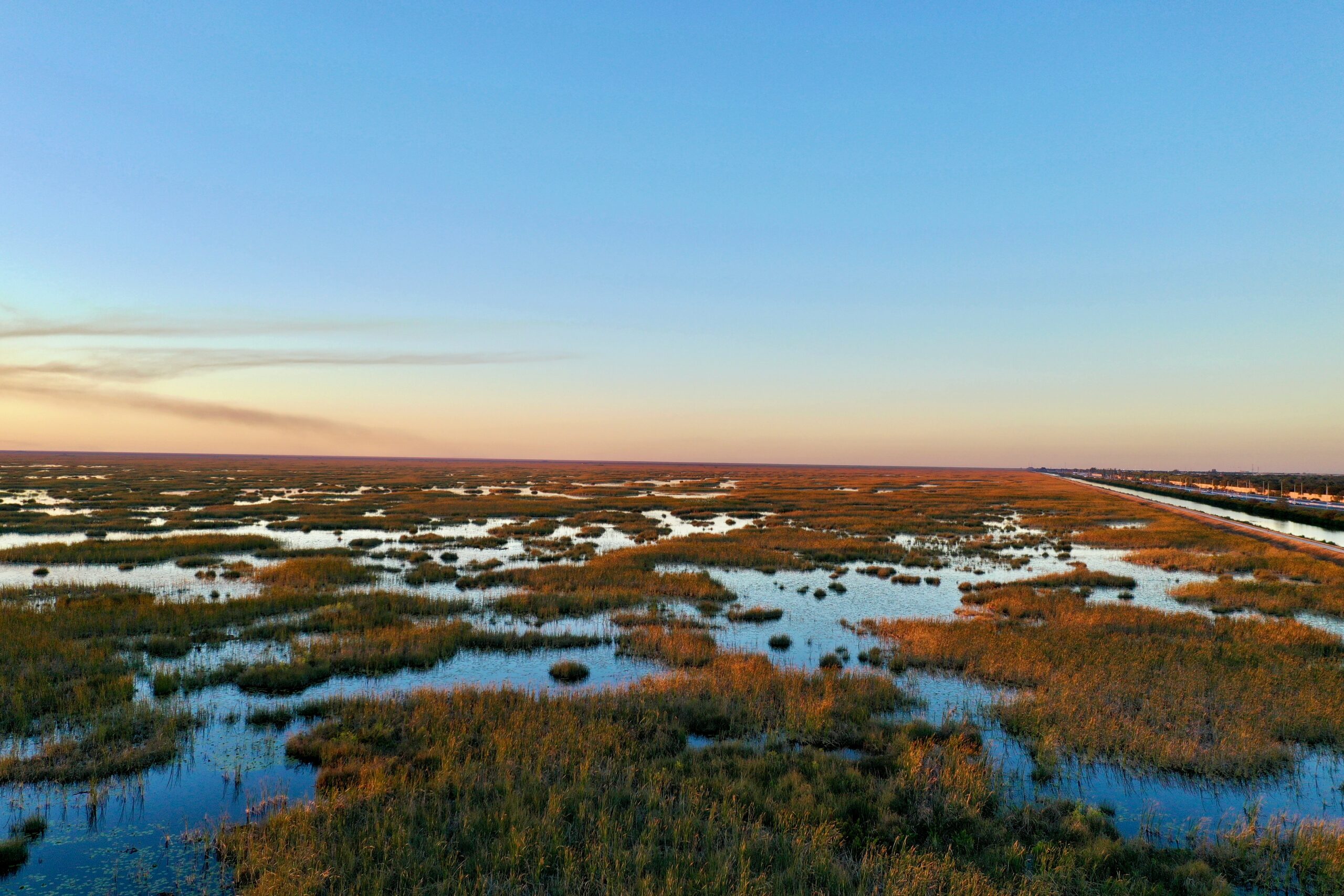 Everglades, Keys, and Space Coast: The Florida Quiz